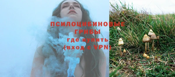 соль ск Гусиноозёрск