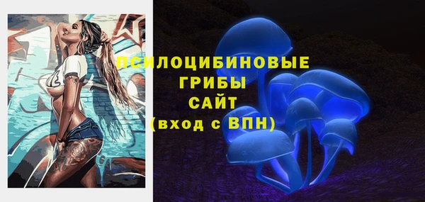 дурь Бронницы
