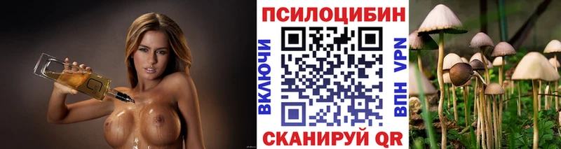 купить Мончегорск Псилоцибиновые грибы Magic Shrooms